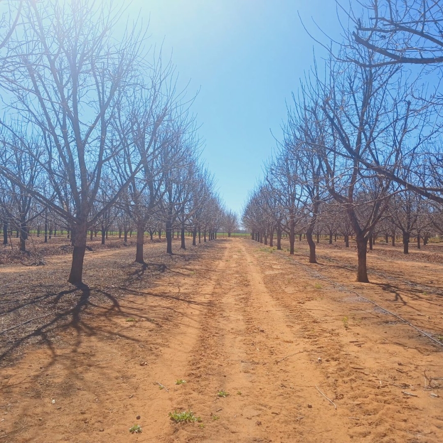  Bedroom Property for Sale in Hartswater Rural Northern Cape